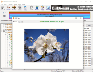 DiskGenius Professional Keygen Free Download